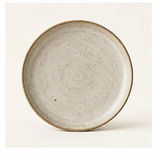 Dinner Plate — Raw Clay